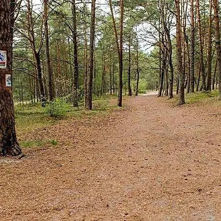 Apartament In Near Baltic