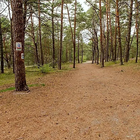 In Near Baltic Pogorzelica (Gmina Rewal)
